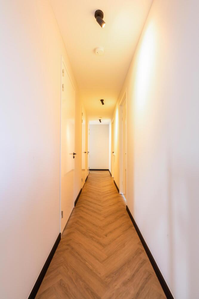 Foto 32 1000w