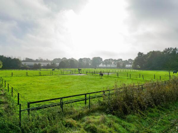 photo 59 Waatselaarstraat 3