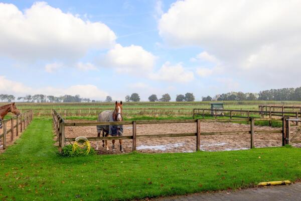 photo 62 Waatselaarstraat 3