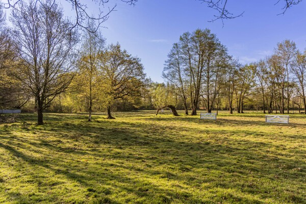 photo 14 Schoolkaterdijk 80