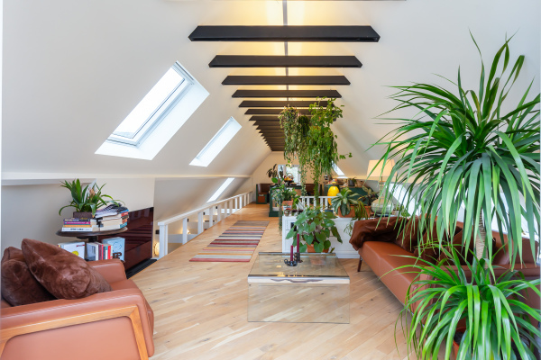 photo 42 Kletterstraat 27