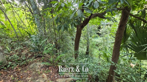 photo 23 Sagrado - Valladolid 