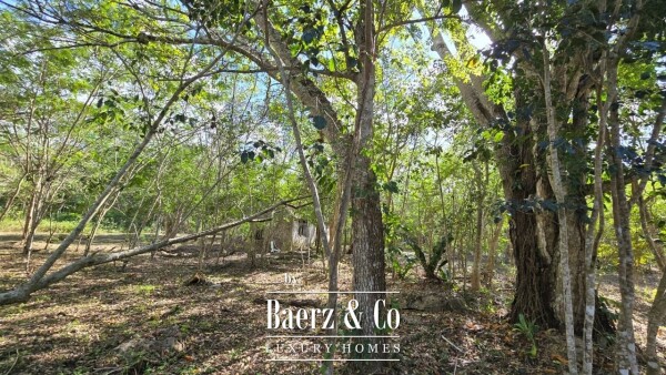 photo 38 Sagrado - Valladolid 