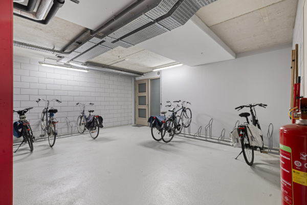 photo 29 Jan Wilshof 85