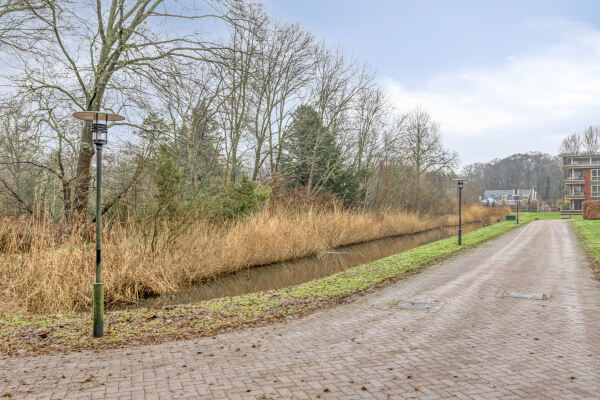 photo 35 Jan Wilshof 85