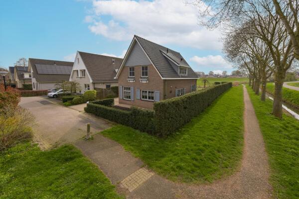 photo 48 Timotheegras 13